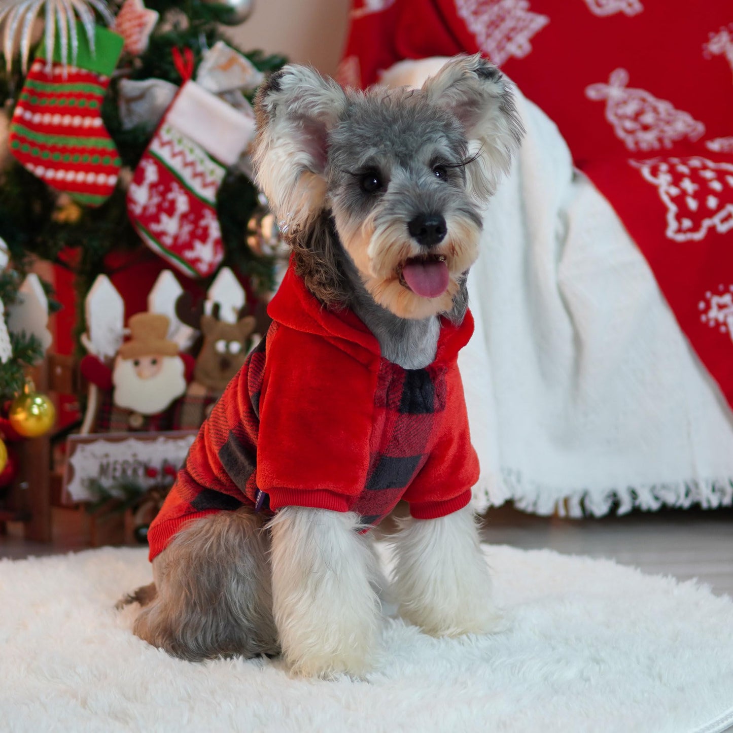 Dog sweater