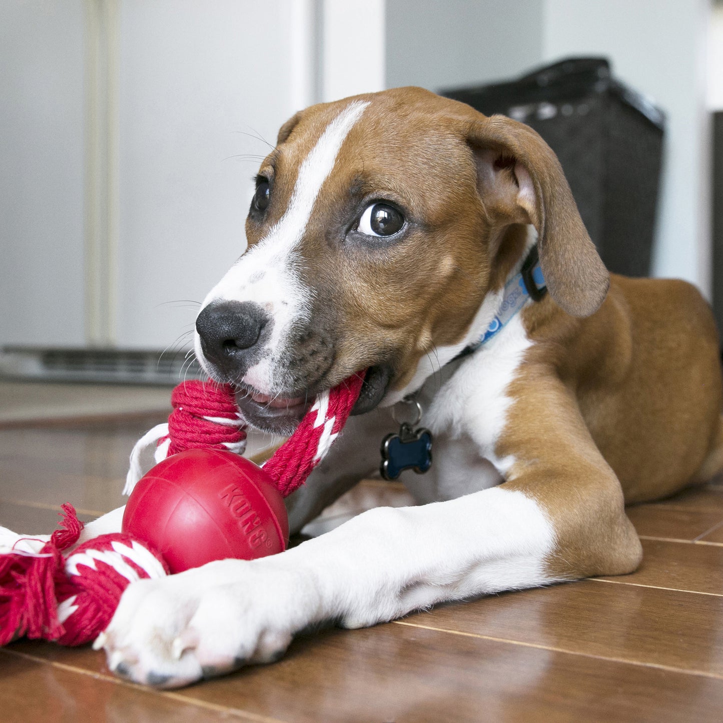 KONG Ball w/Rope SMALL