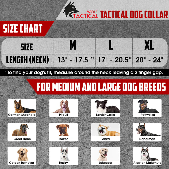Tactical Dog Collar