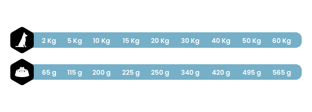 PUPPY 4/15 KG