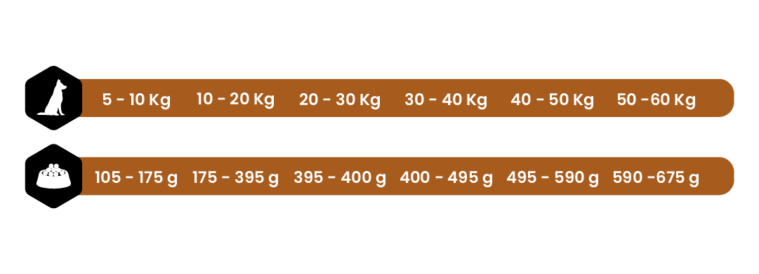 LAMB & RICE 4/15 KG