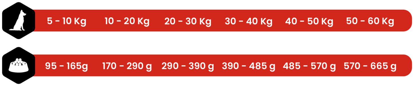 CHICKEN & RICE 4/15 KG